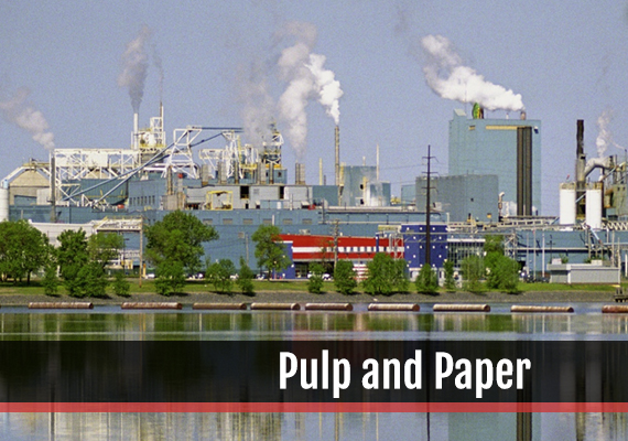 Fagen, Inc.'s experience in the Pulp And Paper industry.